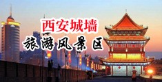 欧美操逼视频网站中国陕西-西安城墙旅游风景区